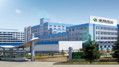 Prinx Chengshan (Shandong) Tire Company – Austone Tyre Factory